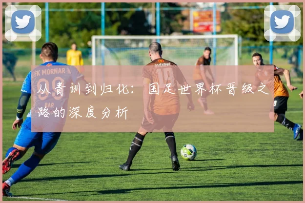 从青训到归化：国足世界杯晋级之路的深度分析